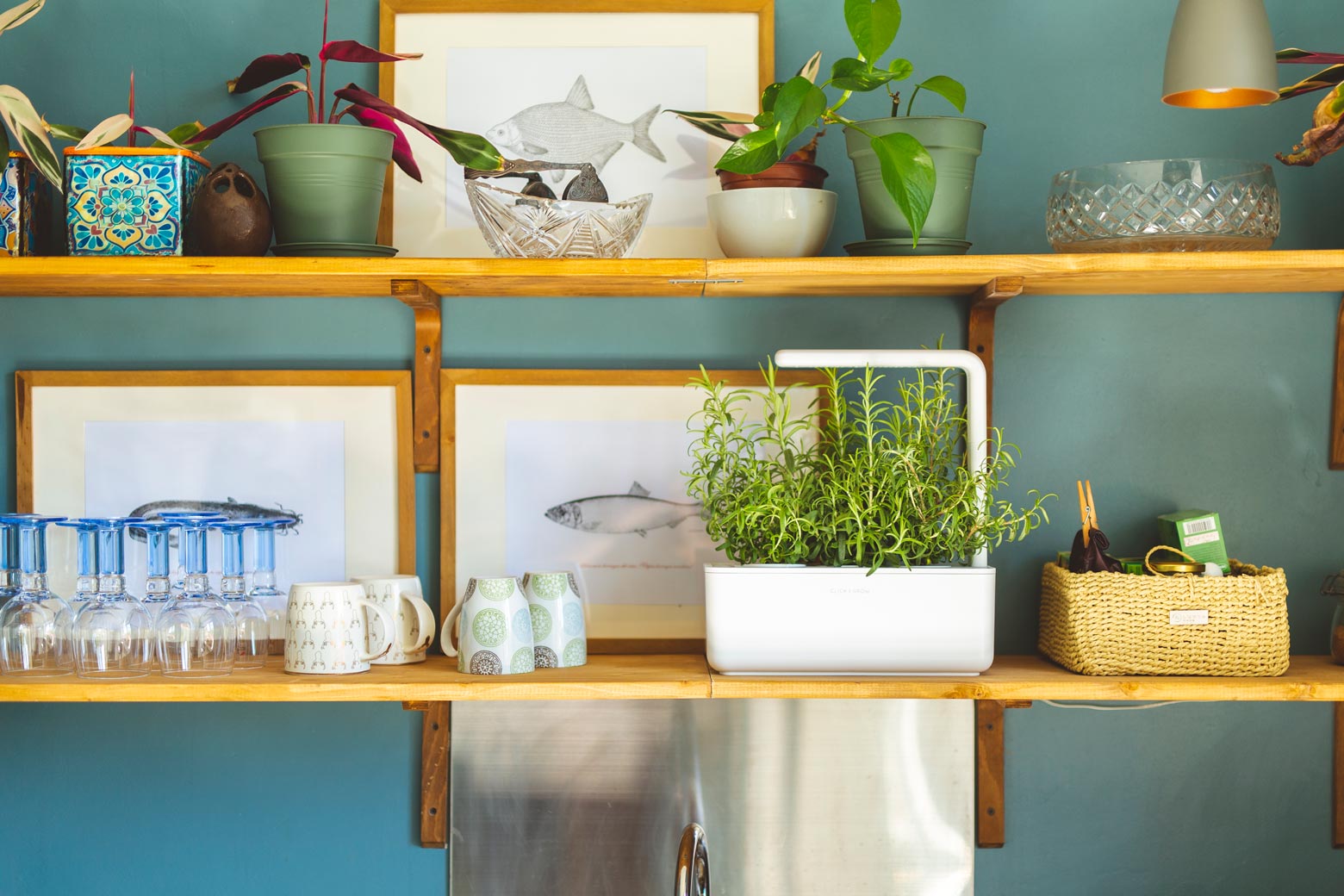 The Smart Garden 3